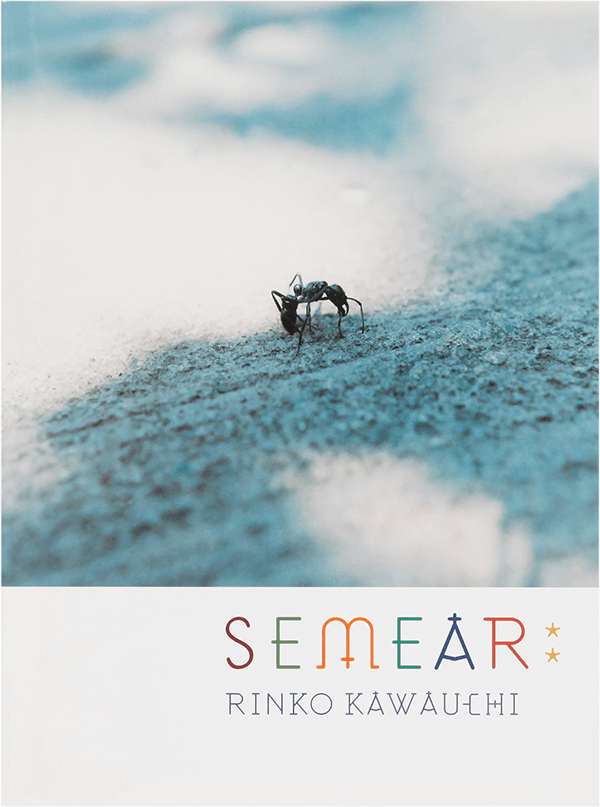 種を蒔く／Semear